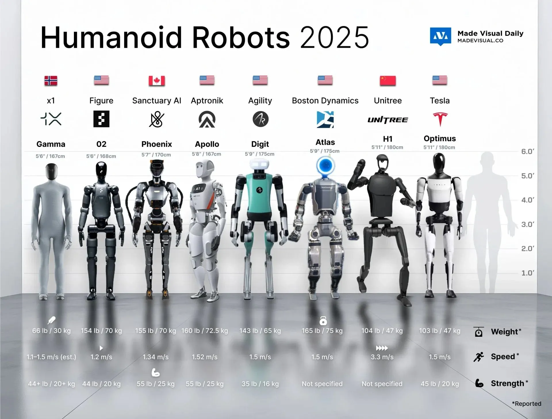 La révolution des robots vient de commencer